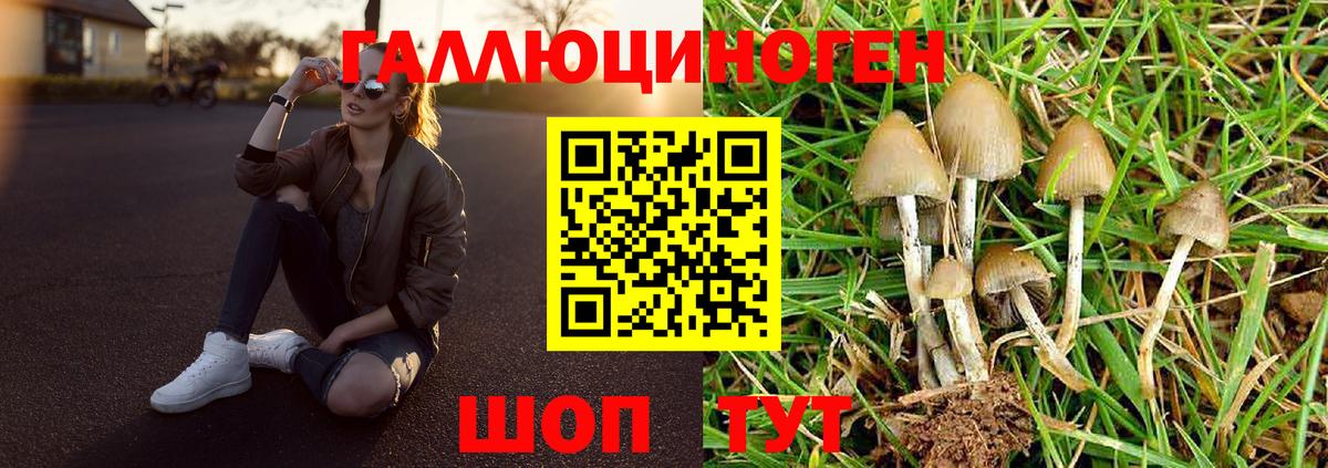 Псилоцибиновые грибы GOLDEN TEACHER Жуковский